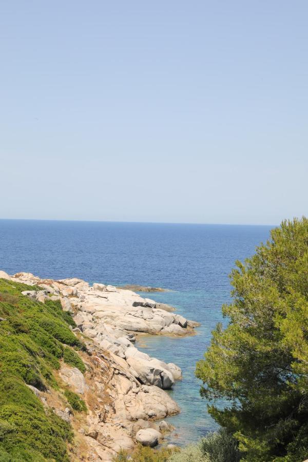 Marine En Bord De Mer... Lumio (Corsica)